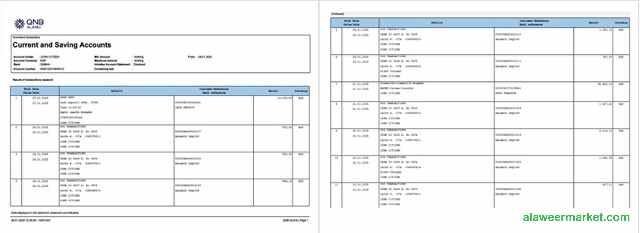 Qatar QNB Alahli Bank account statement Word and PDF template, 2 pages